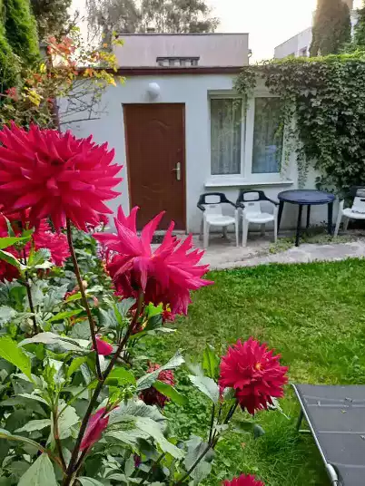 domek letniskowy pokoj zachodni wejscie